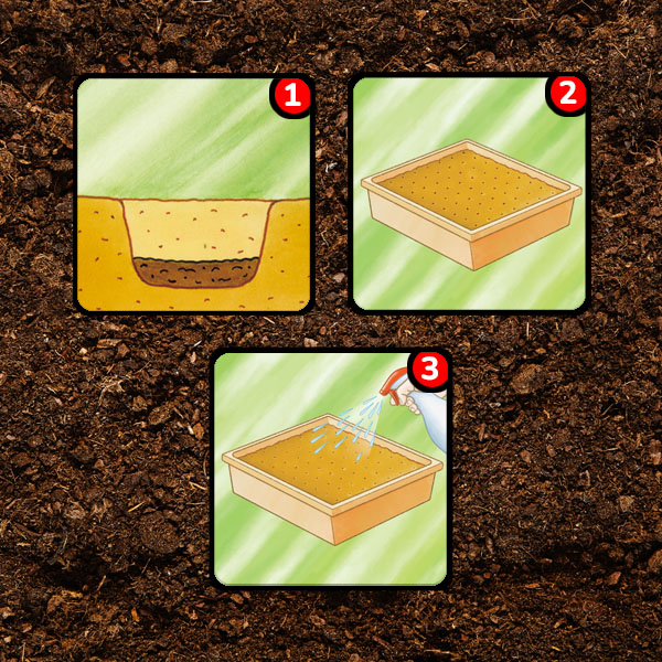 iconen-planten-in-moestuinbak.jpg Substral® Terreaux sans tourbe plantation en bacs potagers