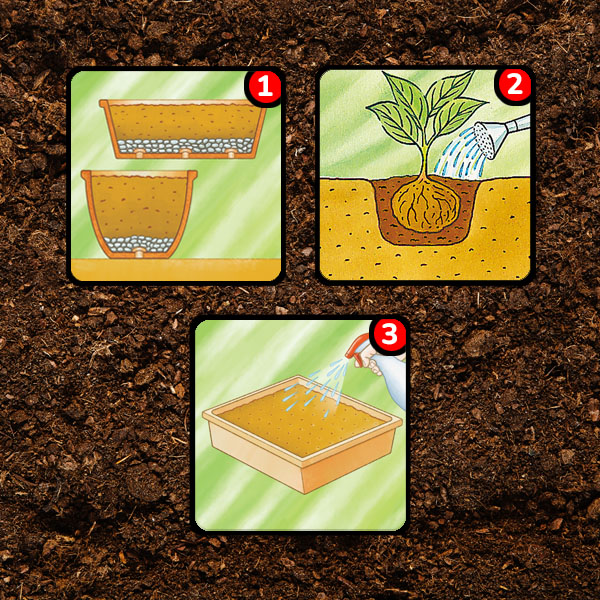iconen-planten-in-pot-moestuin.jpg Substral® Terreaux sans tourbe plantation en pot