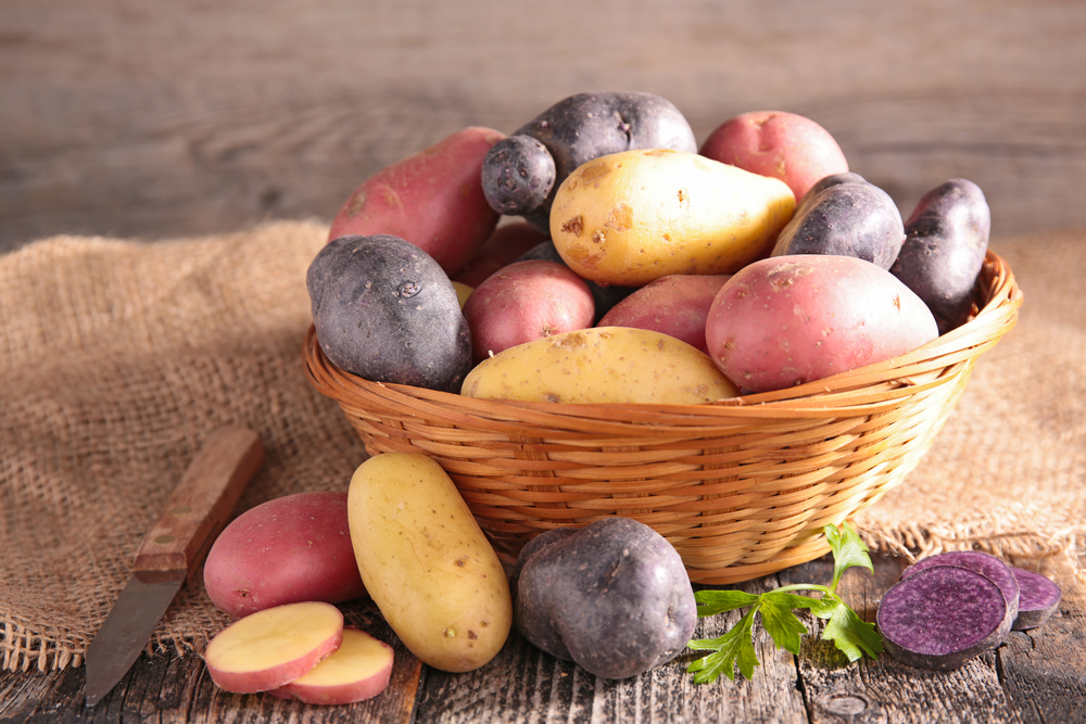 shutterstock_277225529.jpg Cultiver les pommes de terre