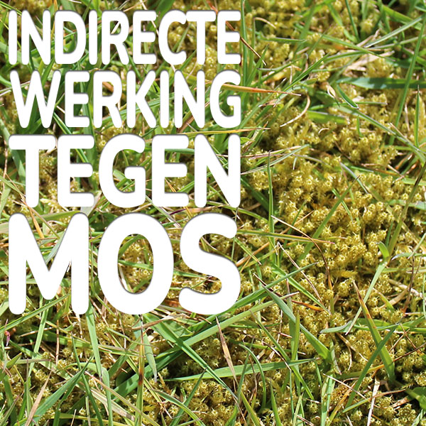 indirecte-werking-tegen-mos.jpg Substral Greenmax indirecte werking tegen mos