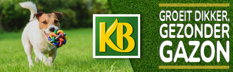 kb-banner-gazon.jpg KB Antimos Gazonmest zorgt voor een dikker gezonder gazon