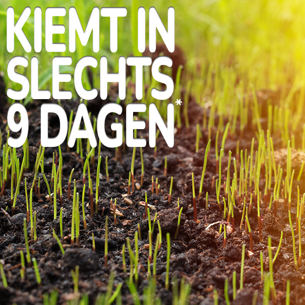 kiemt-in-slechts-9-dagen.jpg Substral Superseed kiemt in slechts 9 dagen