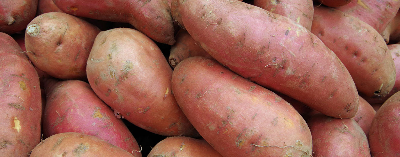 patate-douce.jpg pommes de terre douce