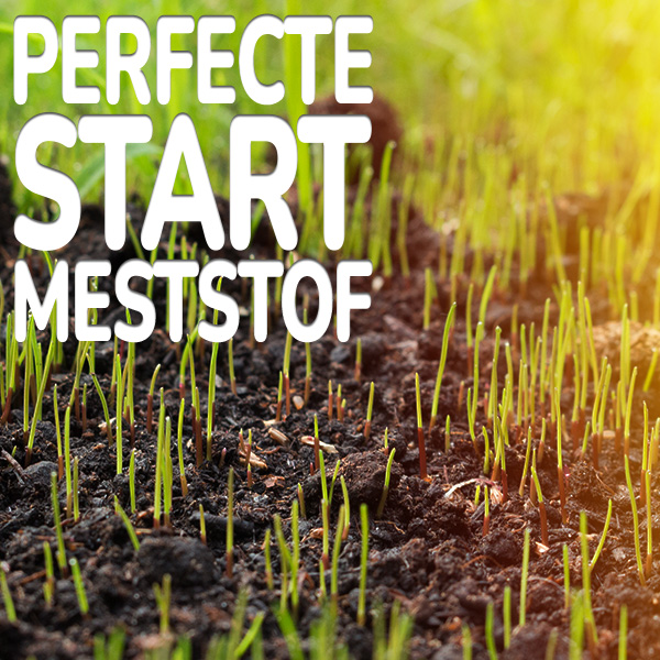 perfecte-start-meststof.jpg Substral triofert gazonmeststof perfecte start meststof