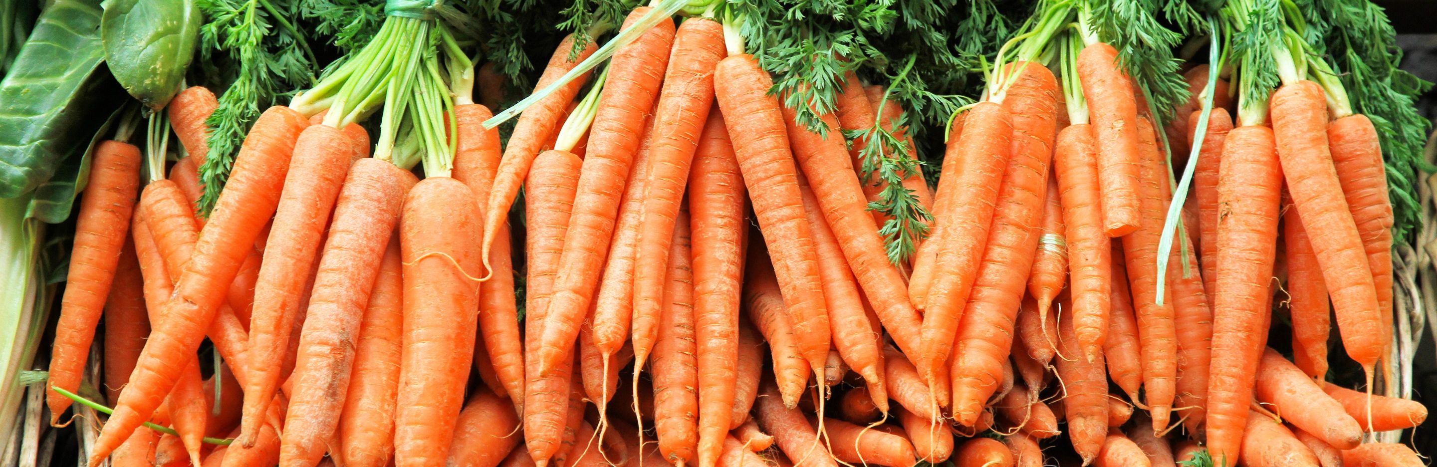 Carrots