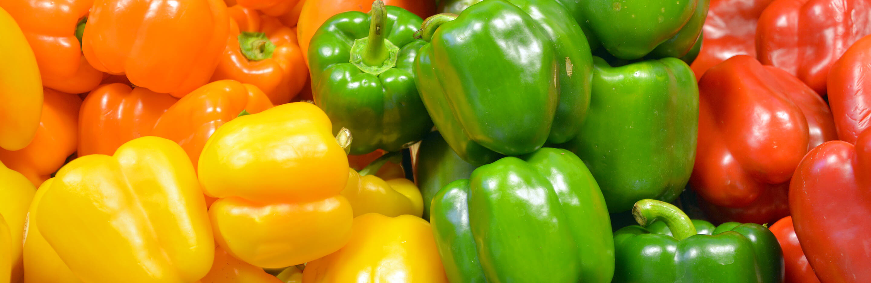 How to grow capsicum