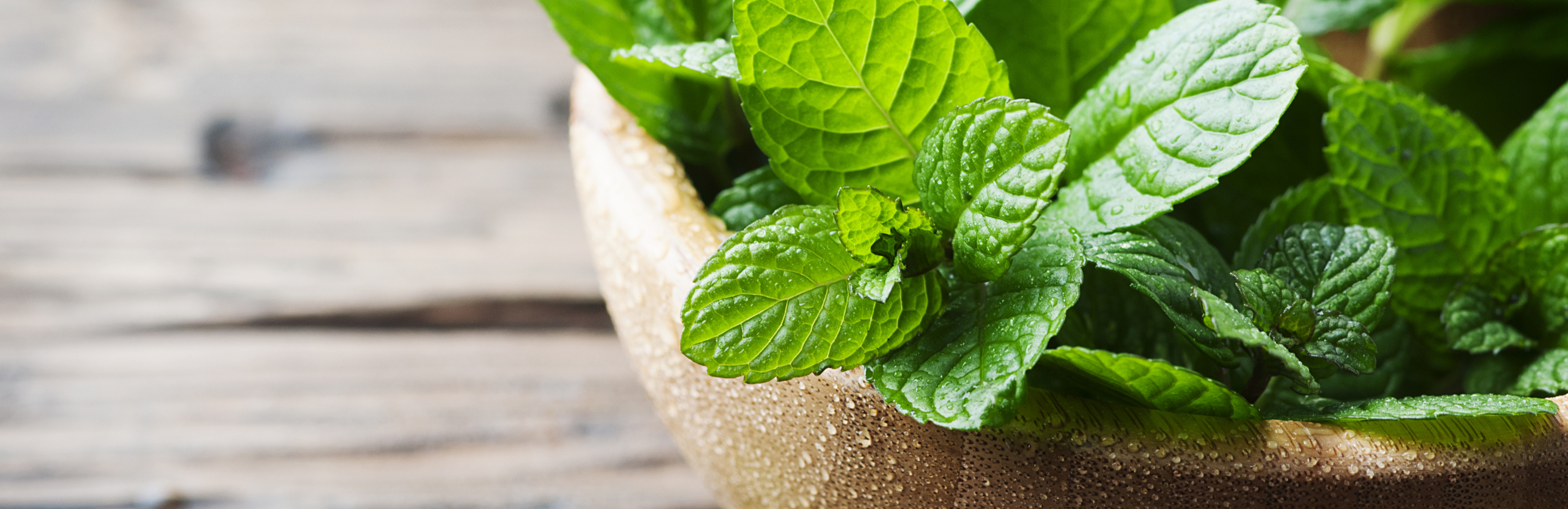 Jak sadzić i pielęgnować miętę?