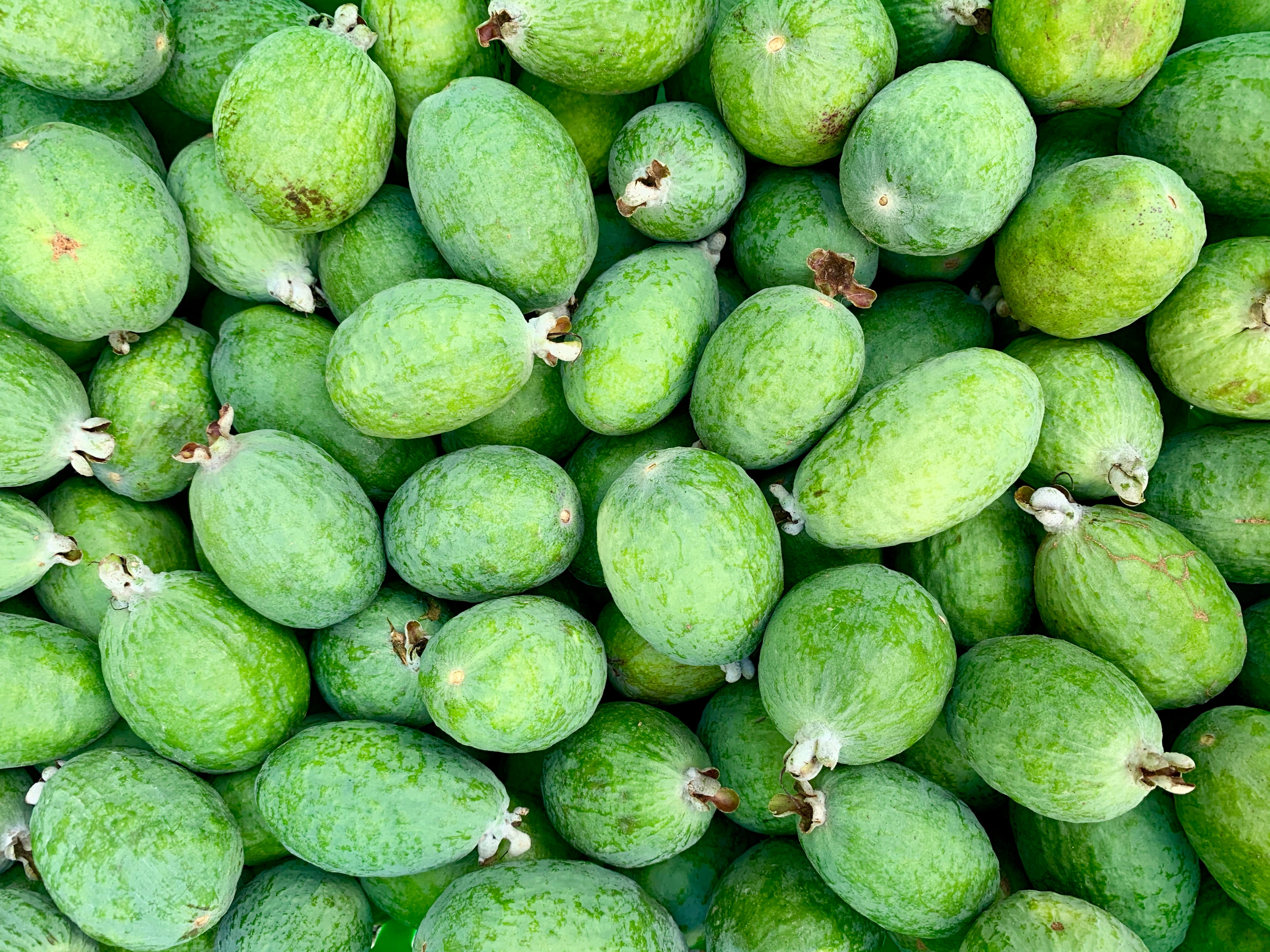 A large collection of ripe feijoa fruit.