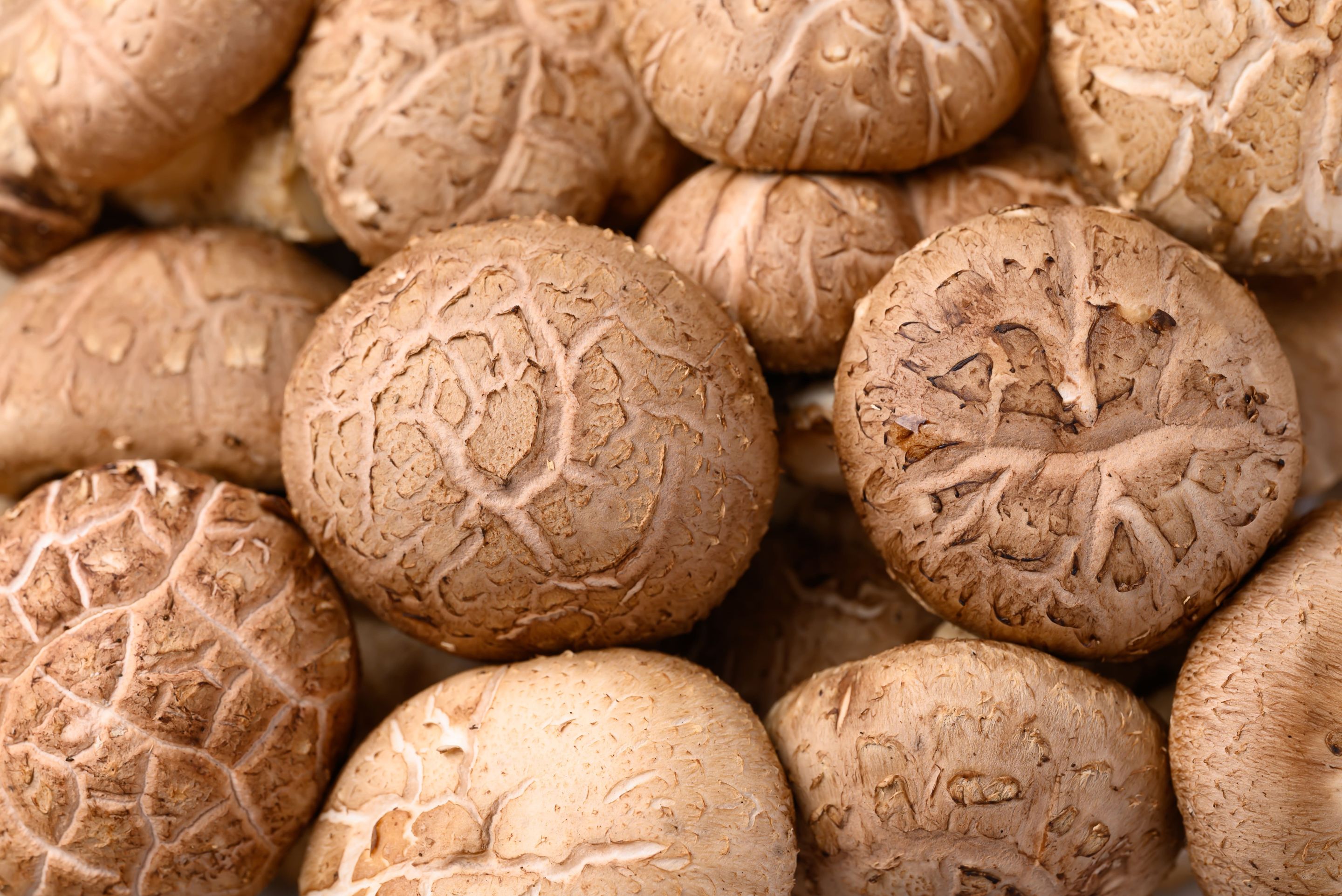 Fresh shiitake mushrooms.