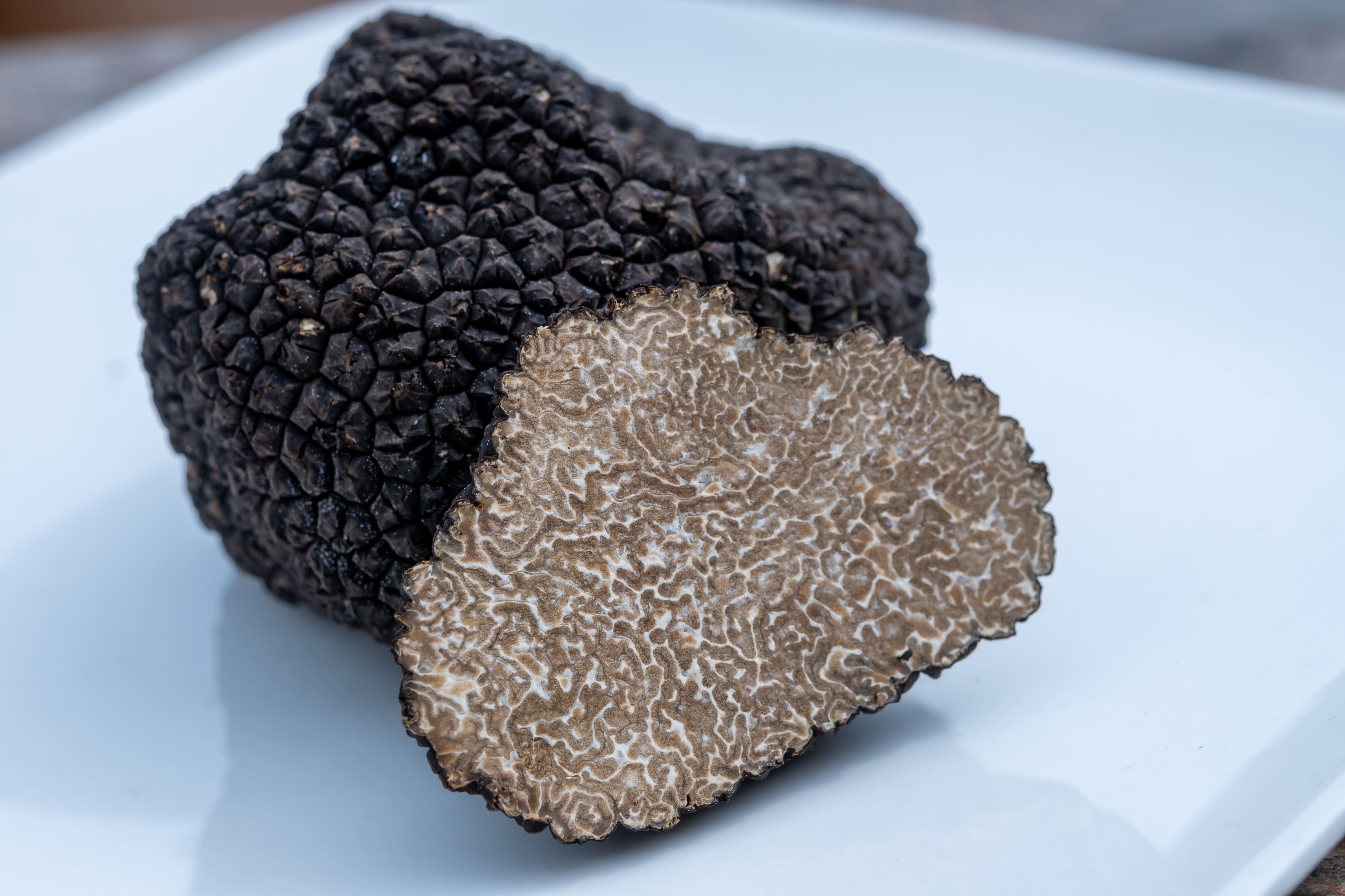 Fresh black summer truffle mushroom sliced in pieces on a plate. 