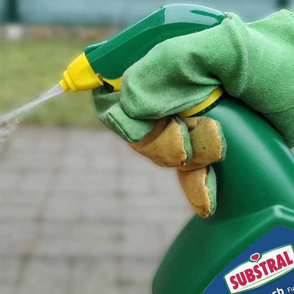 pret-a-emploi-snfc.jpg Substral® Fungicarb, produit prêt à l'emploi