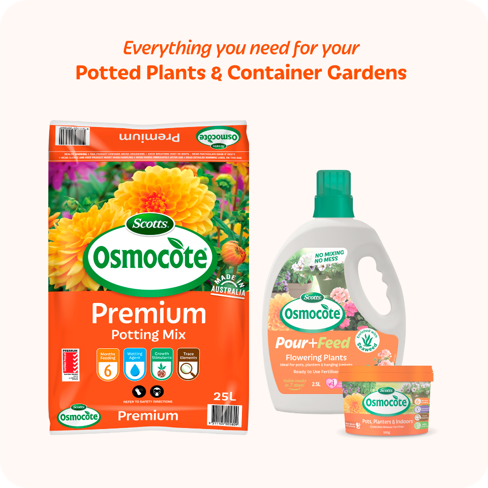 Scotts Osmocote® Premium Potting Mix Scotts Australia
