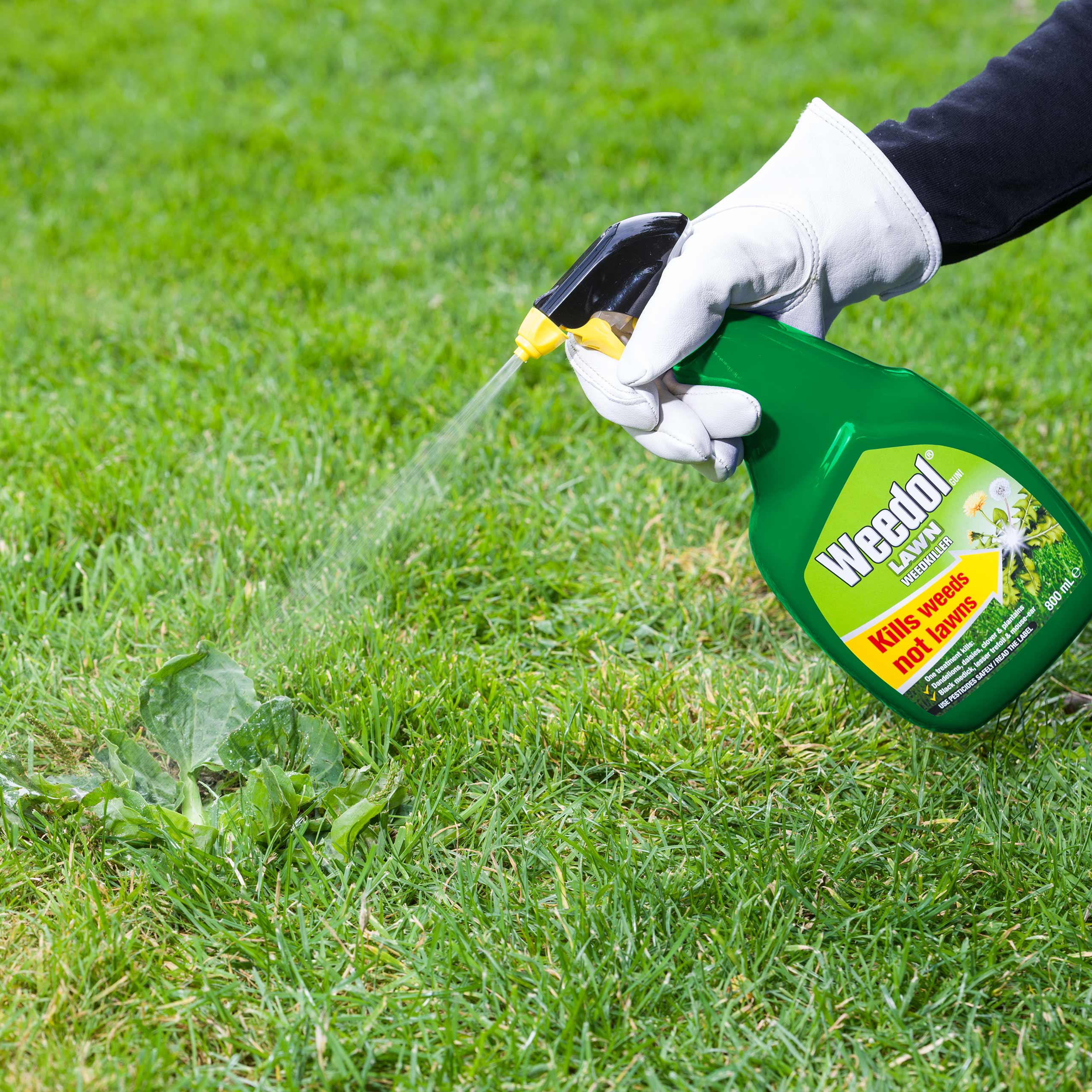 Weedol® Gun!™ Lawn Weedkiller 800ml