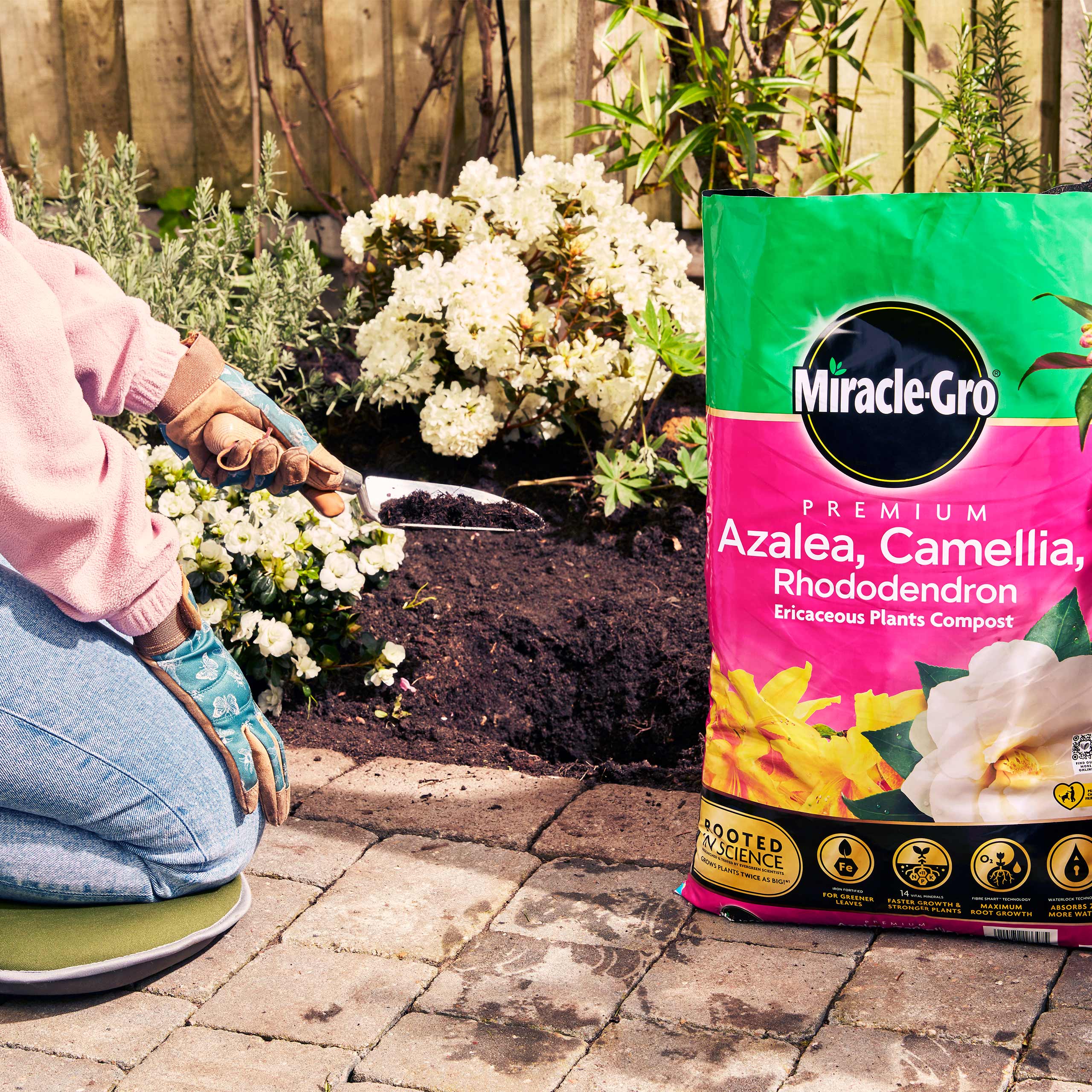MiracleGro® Premium Azalea, Camellia & Rhododendron Ericaceous Compost