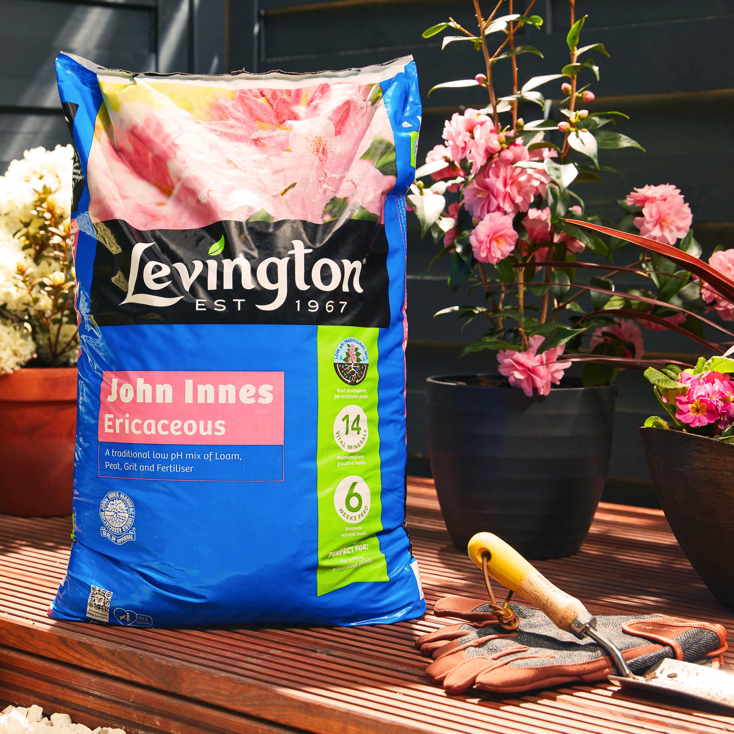 Levington® John Innes Ericaceous Compost 30 litres