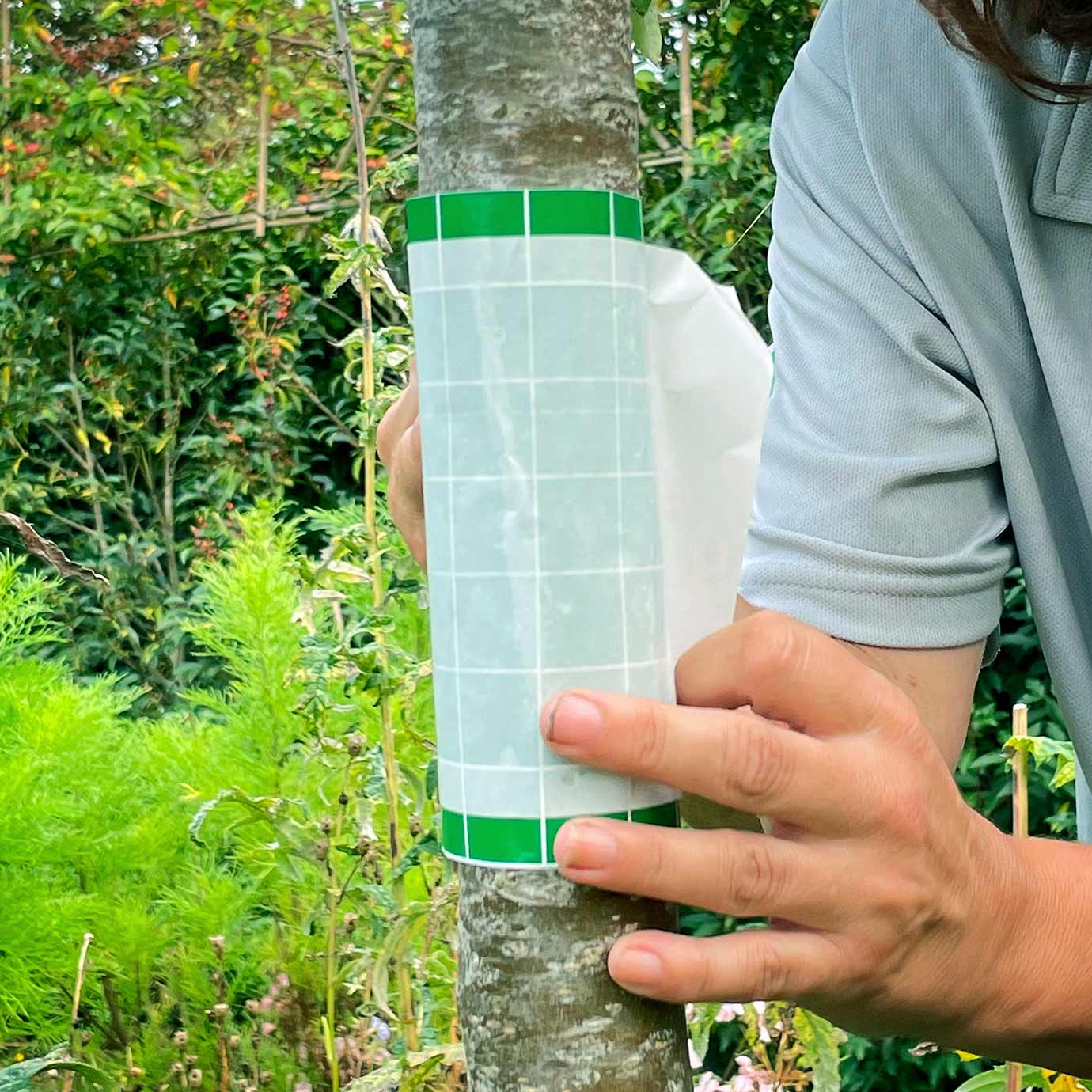 BugClear™ Insect Glue Barrier 5 metres