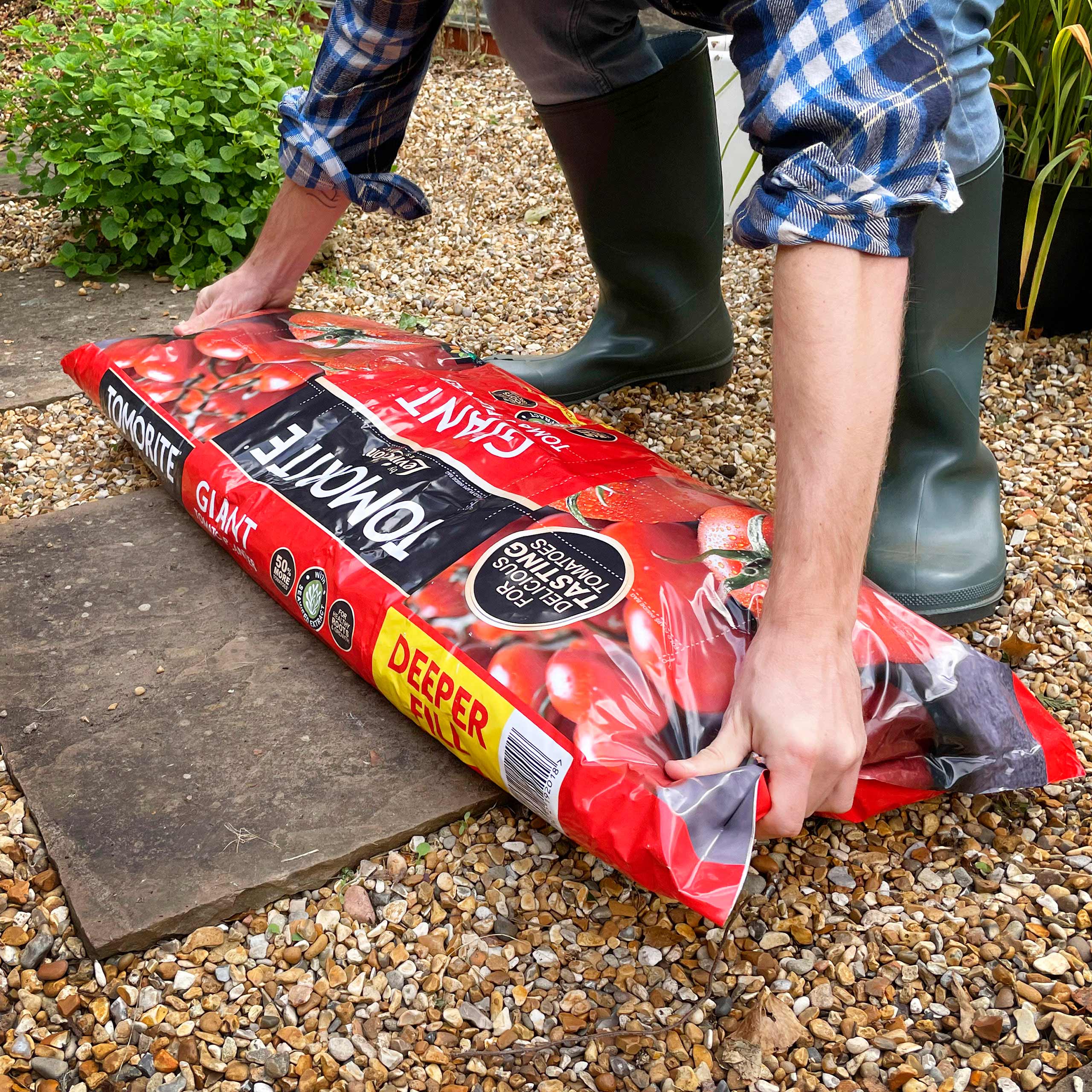 Details 84+ tomorite grow bags super hot in.cdgdbentre