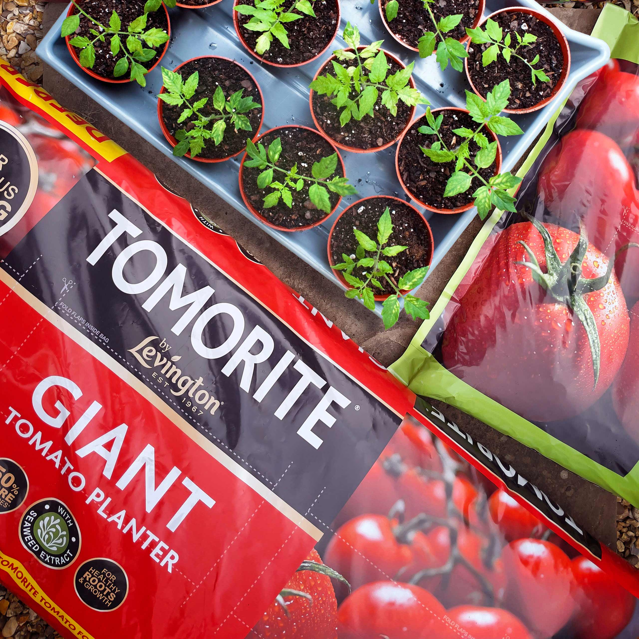 Details 84+ tomorite grow bags super hot in.cdgdbentre