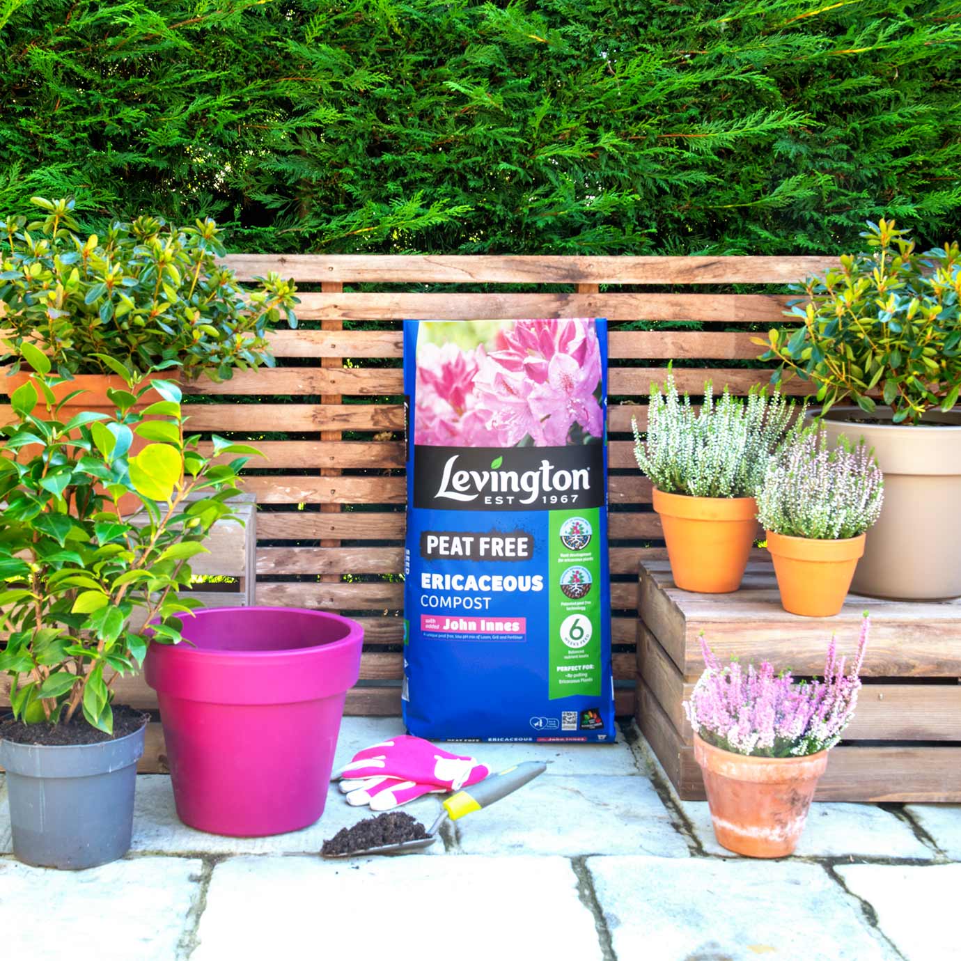 Levington® Peat Free Ericaceous Compost with added John Innes 25 litres