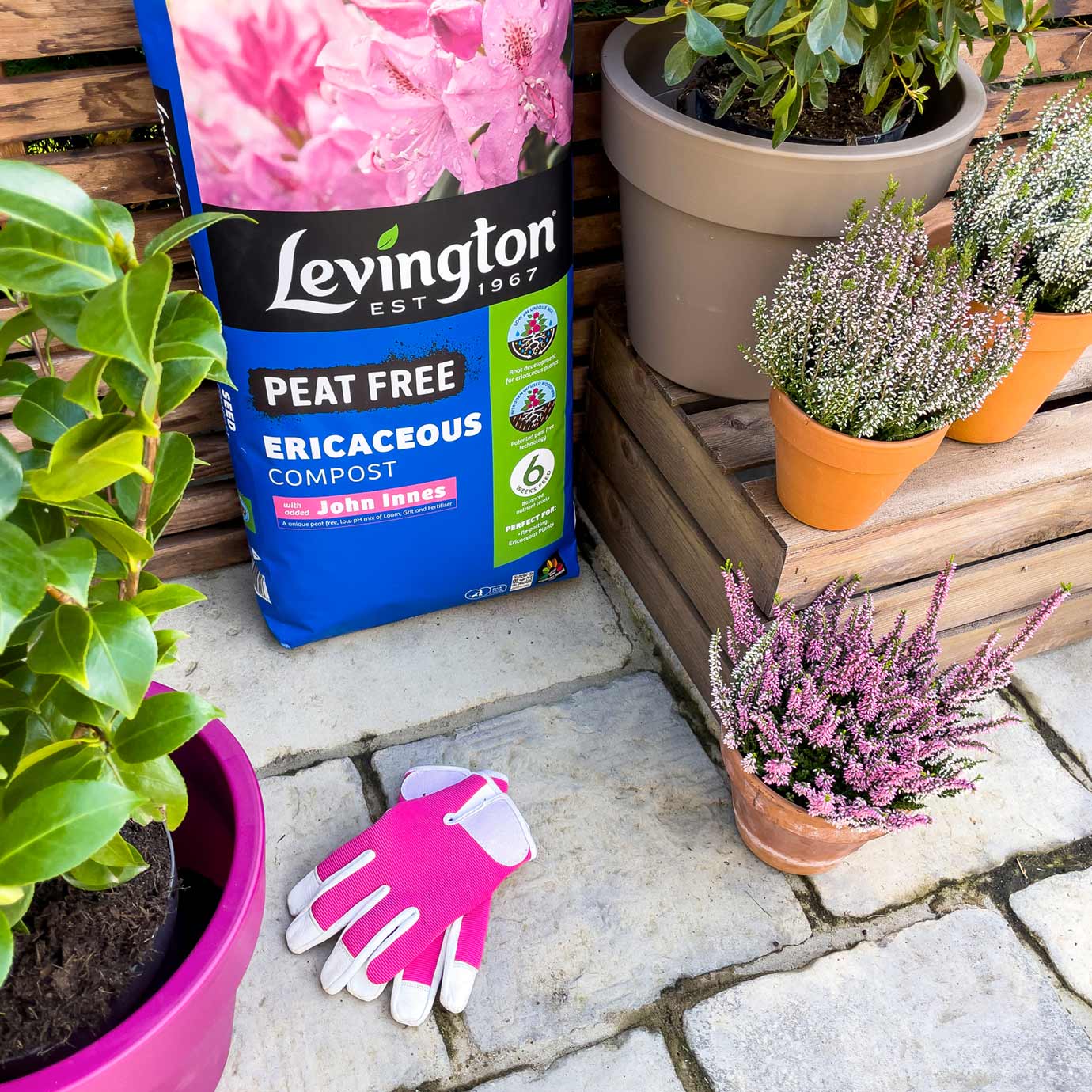 Levington® Peat Free Ericaceous Compost with added John Innes 25 litres