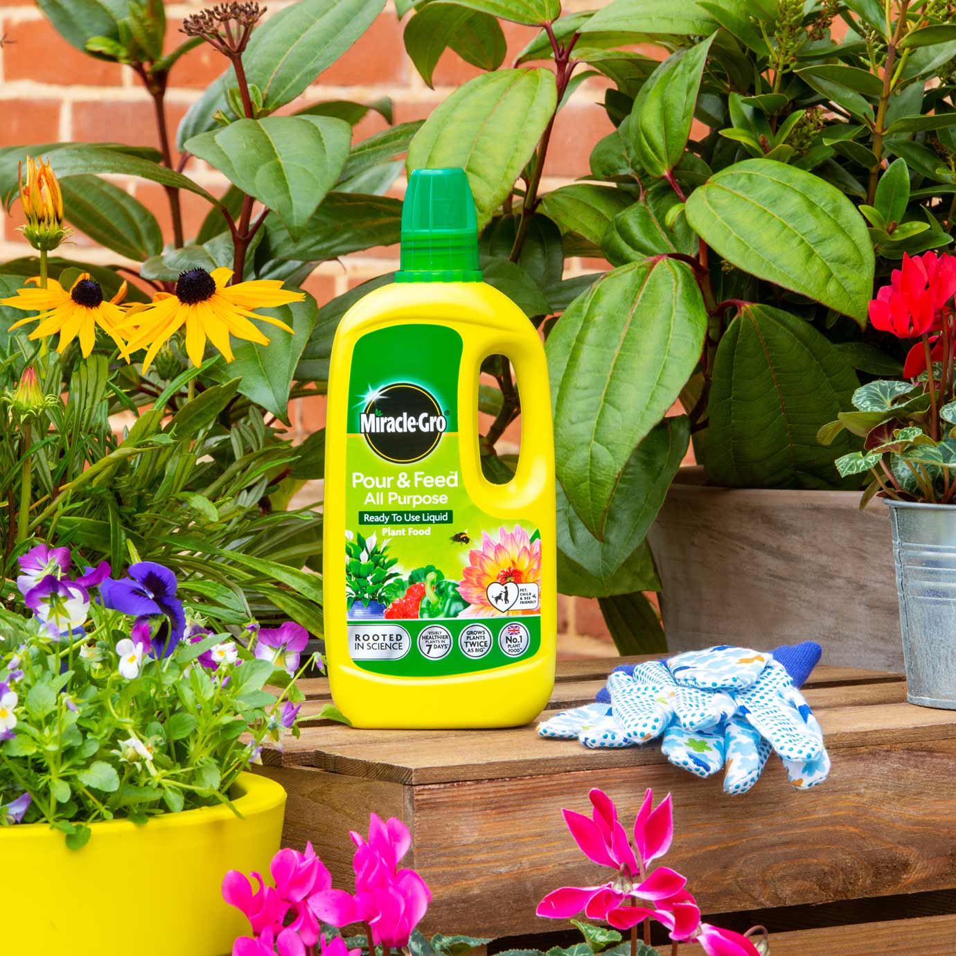 MiracleGro® Pour & Feed™ Ready to Use Plant Food 1 litre