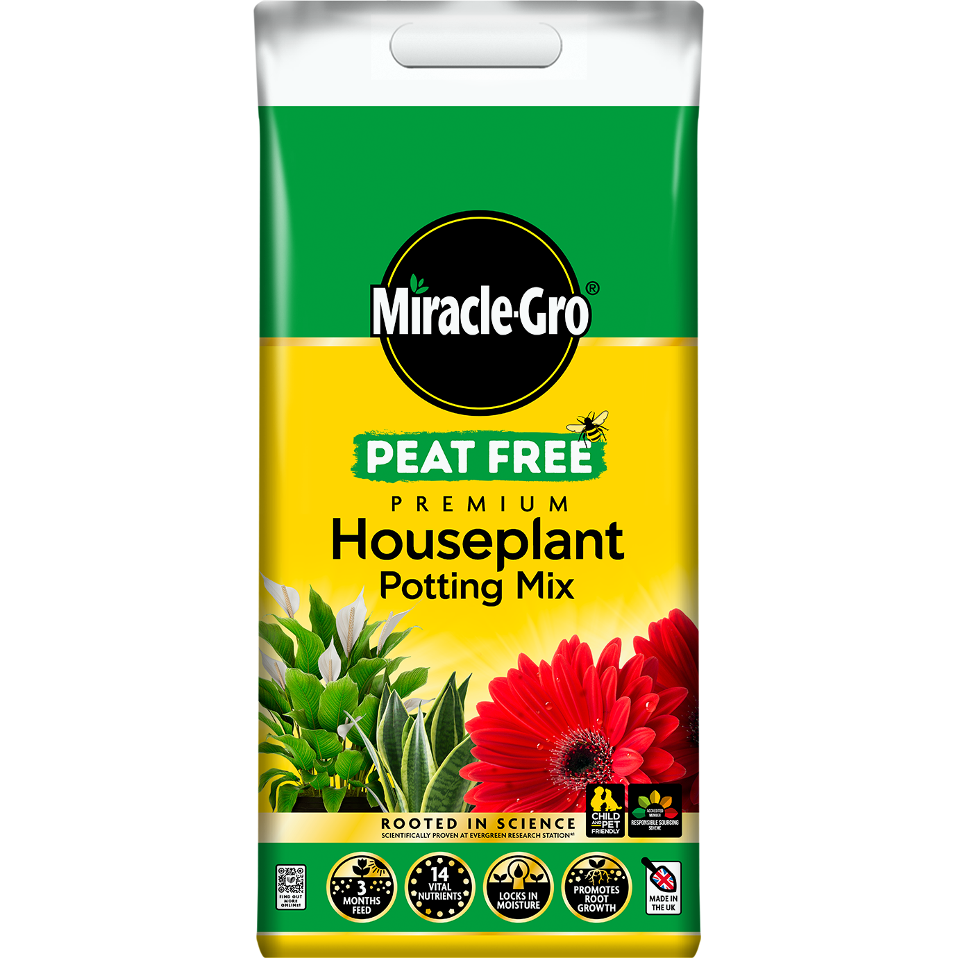 How to care for indoor houseplants Love The Garden