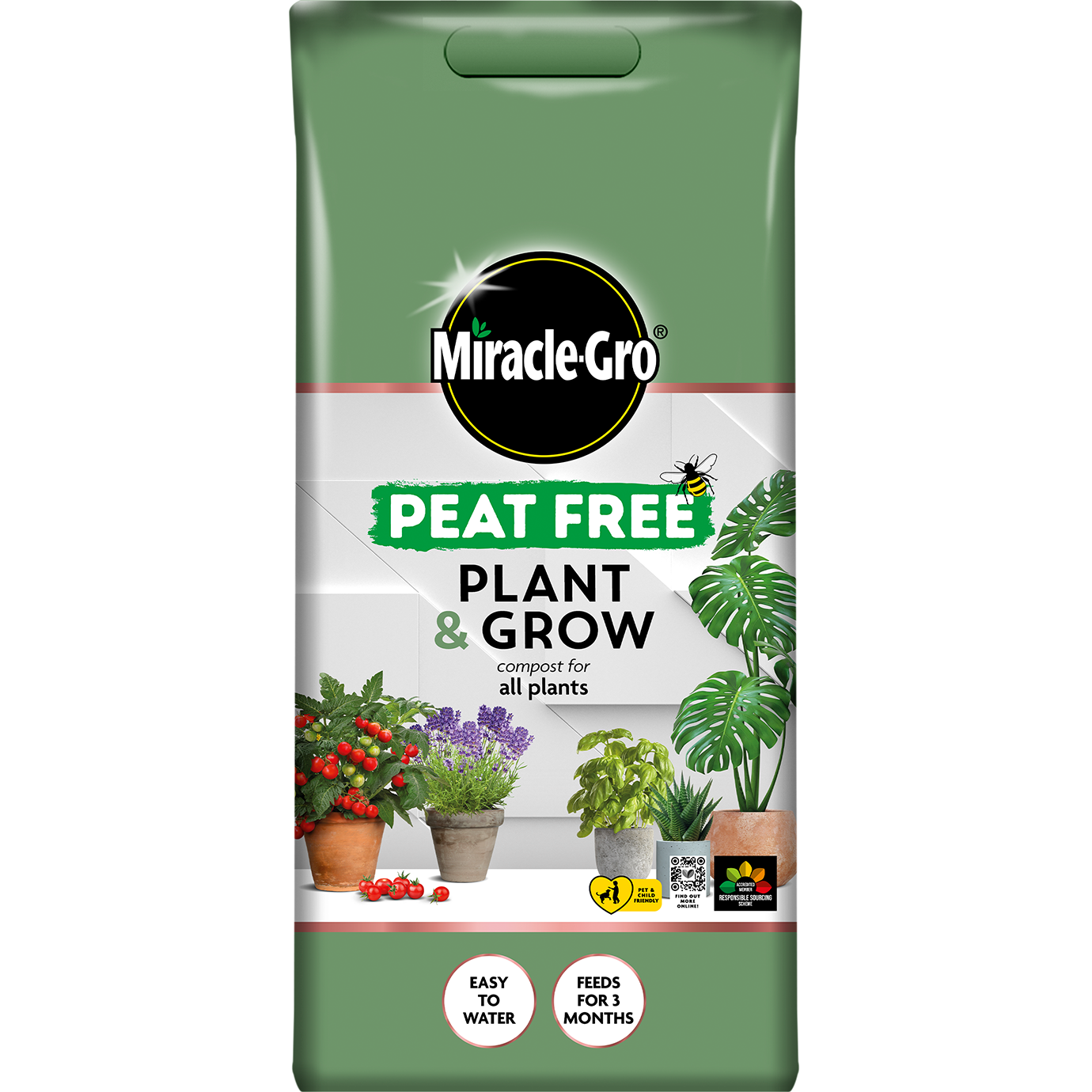 Houseplants to replace your Christmas tree Love The Garden