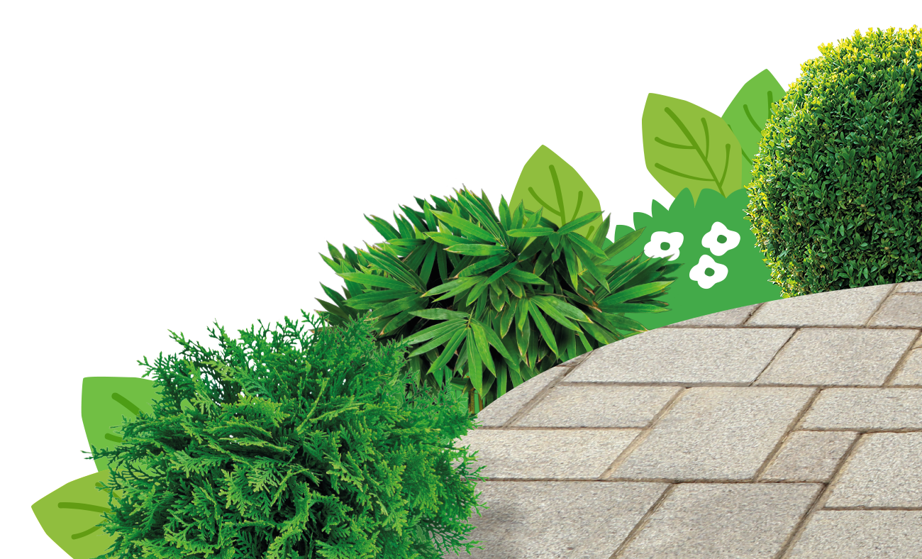 Hard Surface Control & Protection