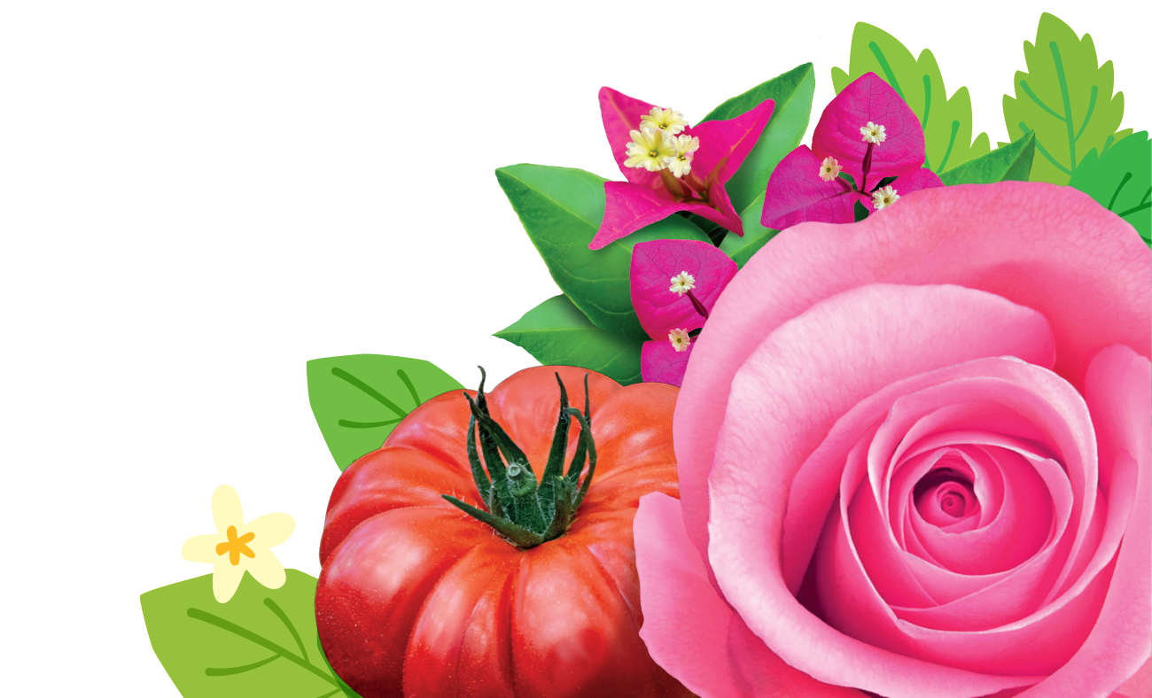 Plant Control & Protection