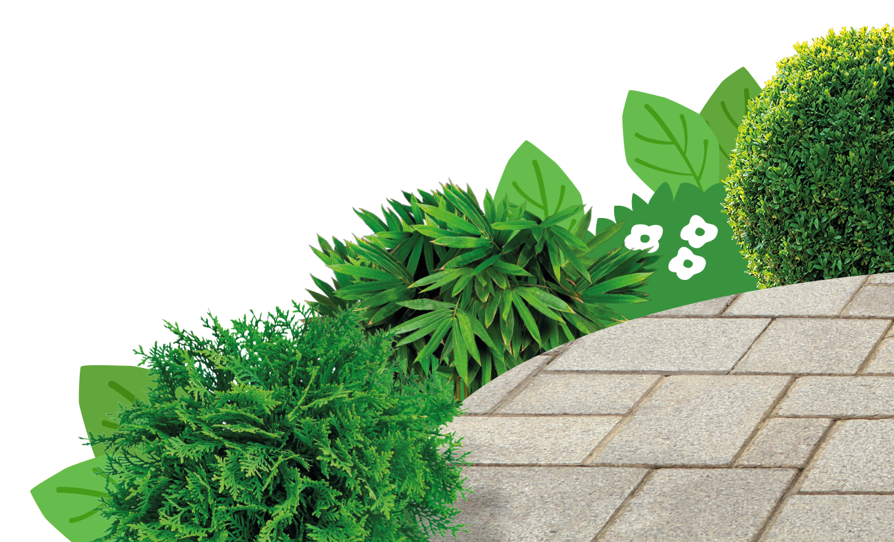 Nettoyants surfaces dures