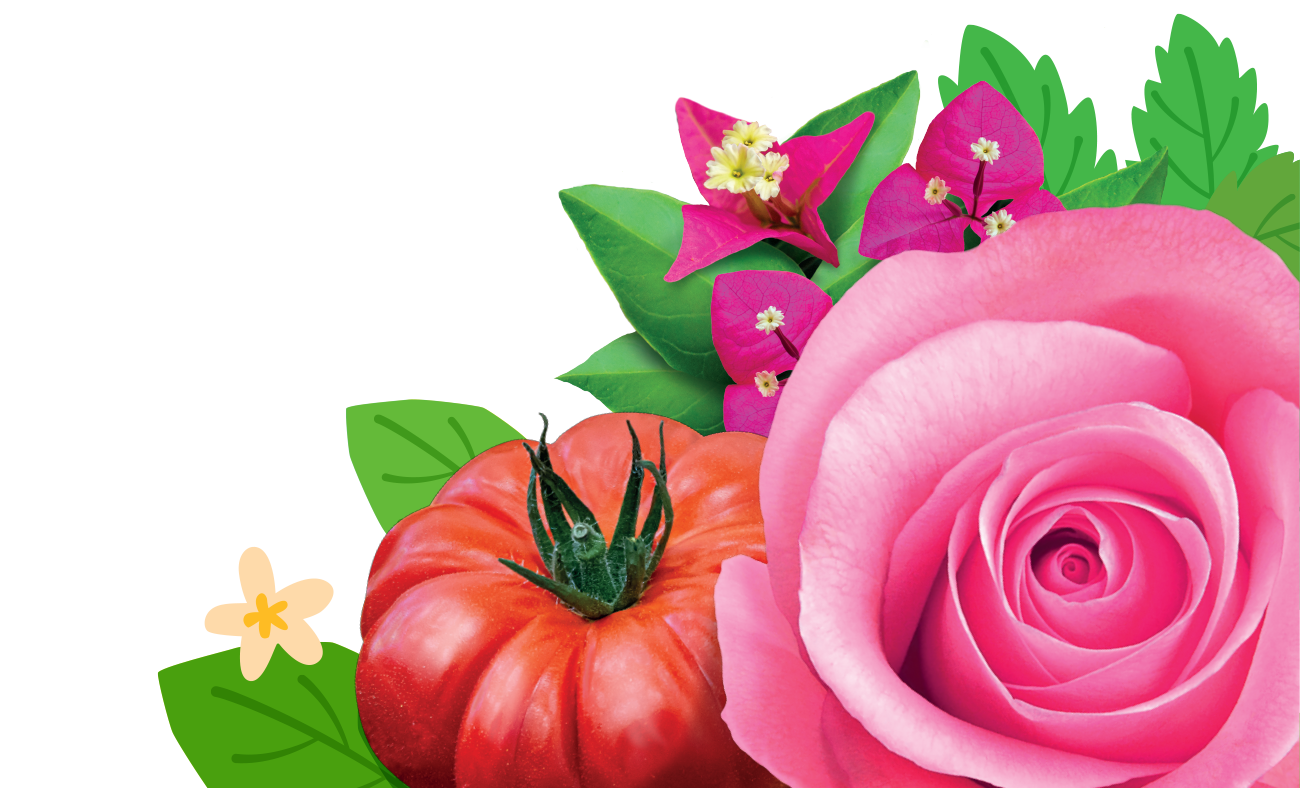 Plantenverzorging- en bescherming