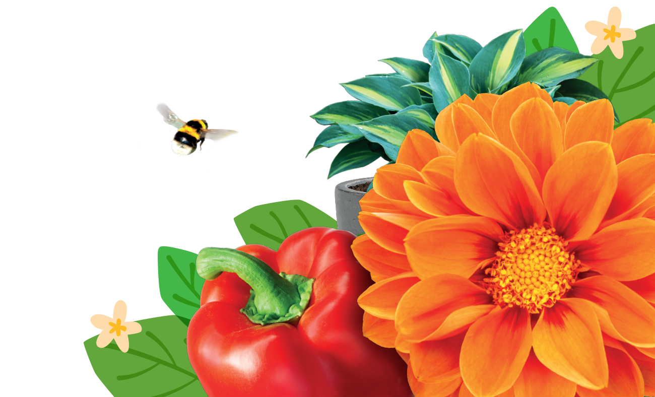 Fertilizante para plantas