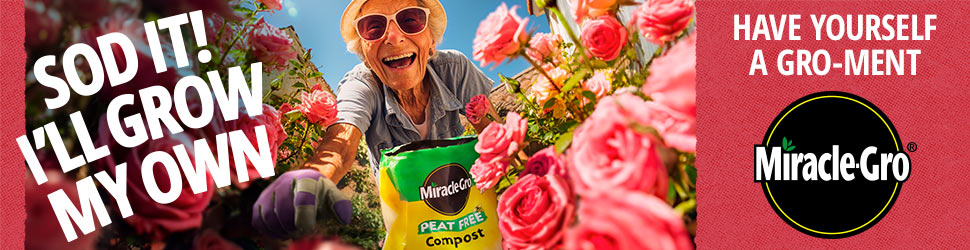 Have yourself a Gro-ment and grow your own from seed