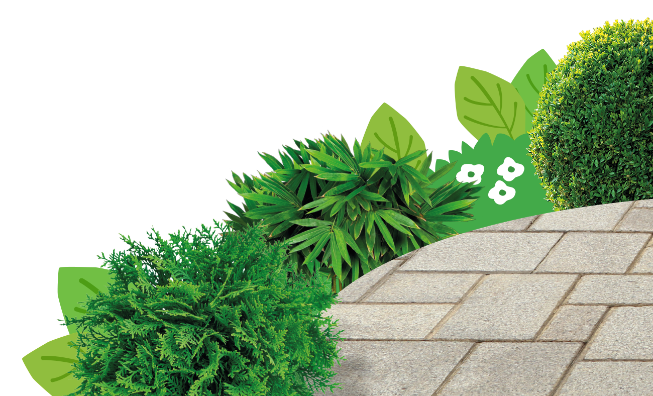 Patio, Path & Driveway Protection