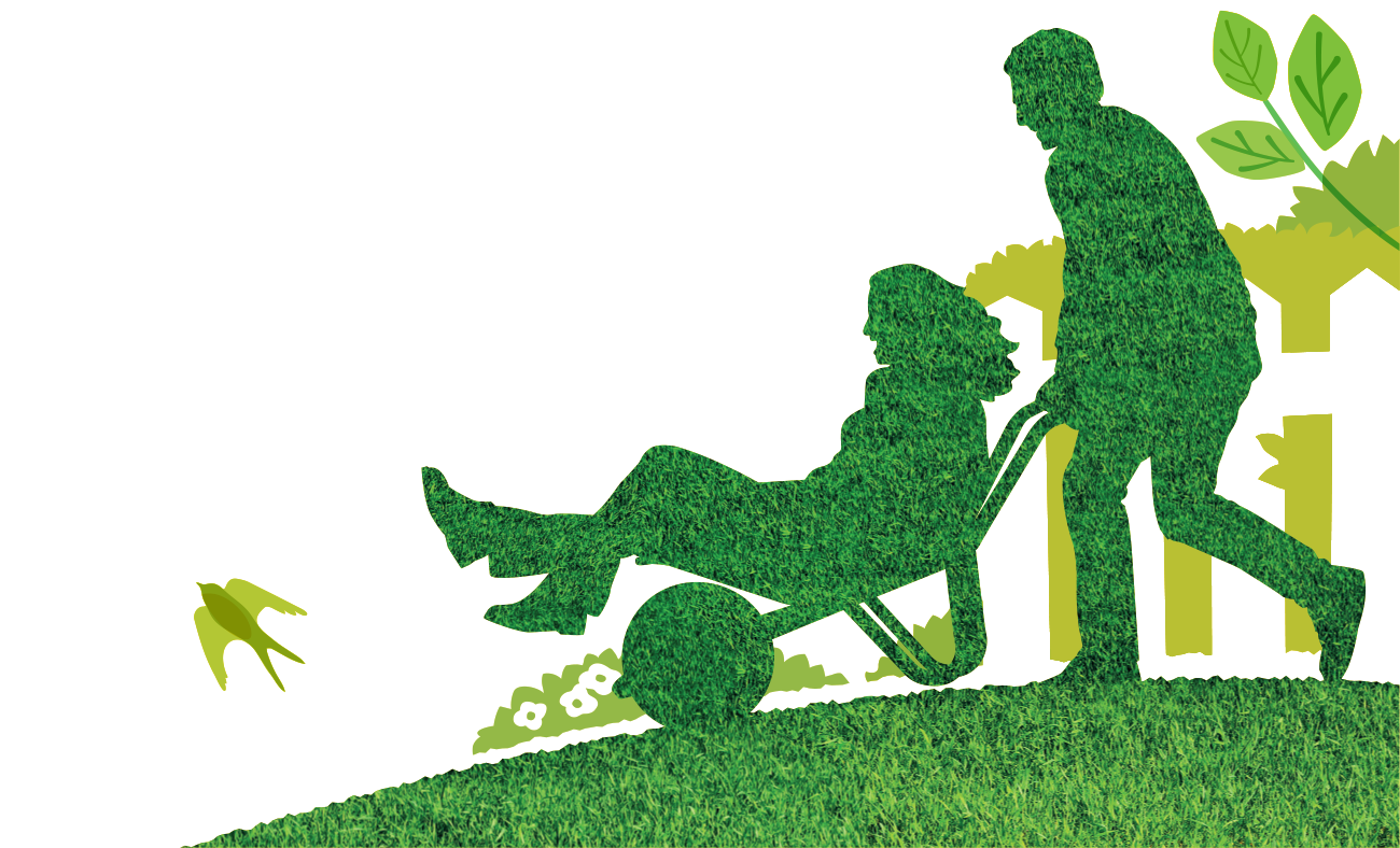 Lawn Feed