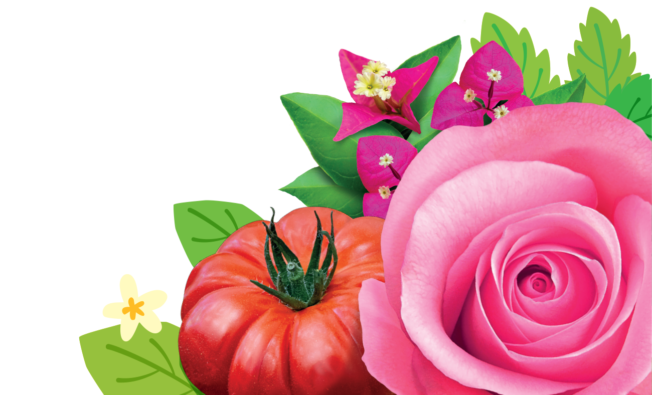 Rose Pest Control