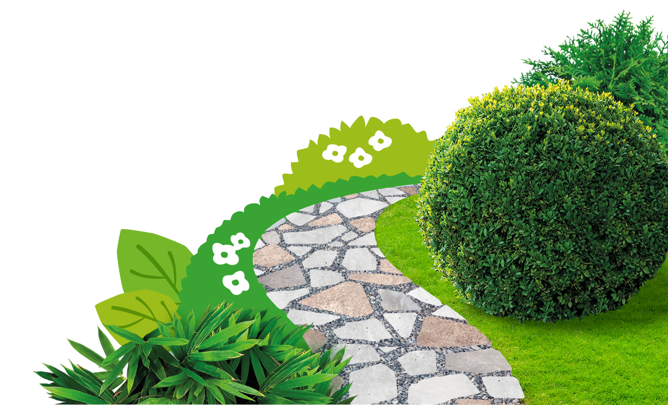 Path, Patios & Drive Weed Control
