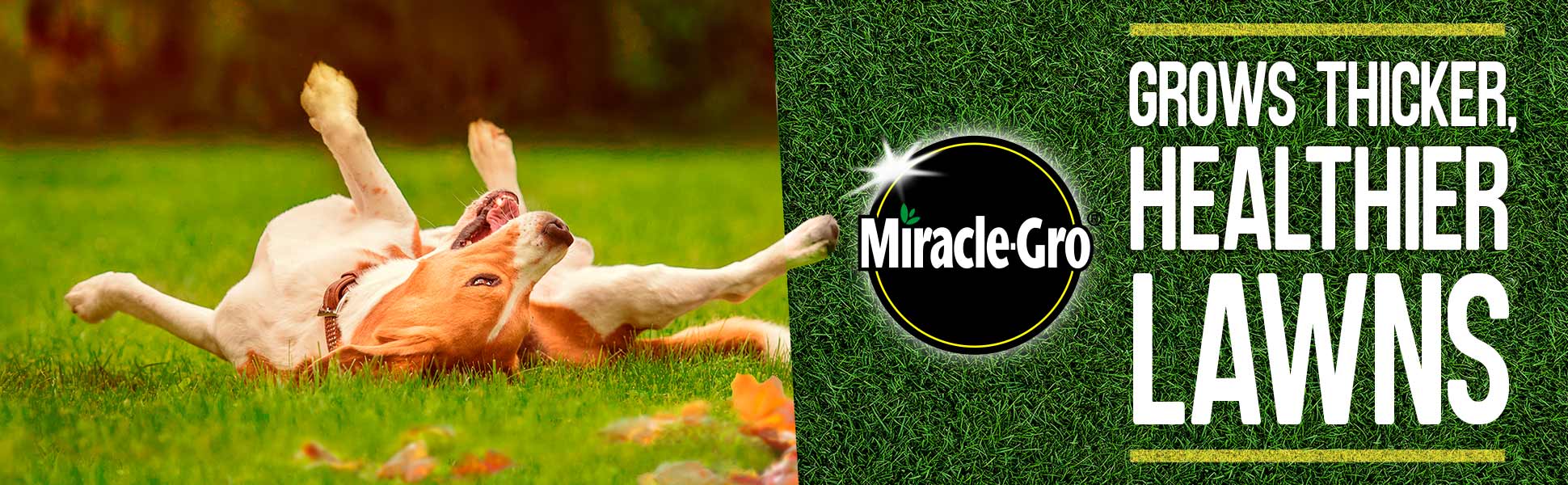 Miracle-Gro® - Grows Thicker, Healthier Lawns