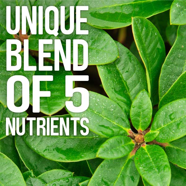 Unique blend of 5 nutrients