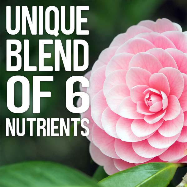 Unique blend of 6 nutrients