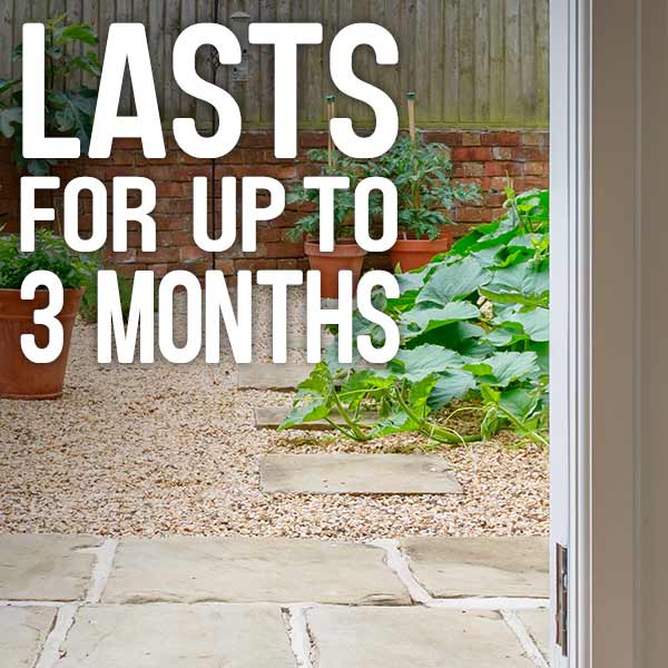 Lasts for up to 3 months