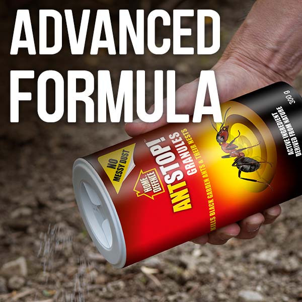 Advanced formula
