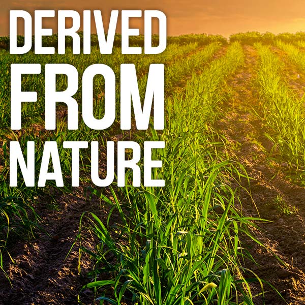 Derived from nature
