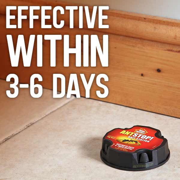 Effective within 3-6 days