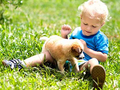 claim-child-and-pets-friendly.jpg Pet and child friendly