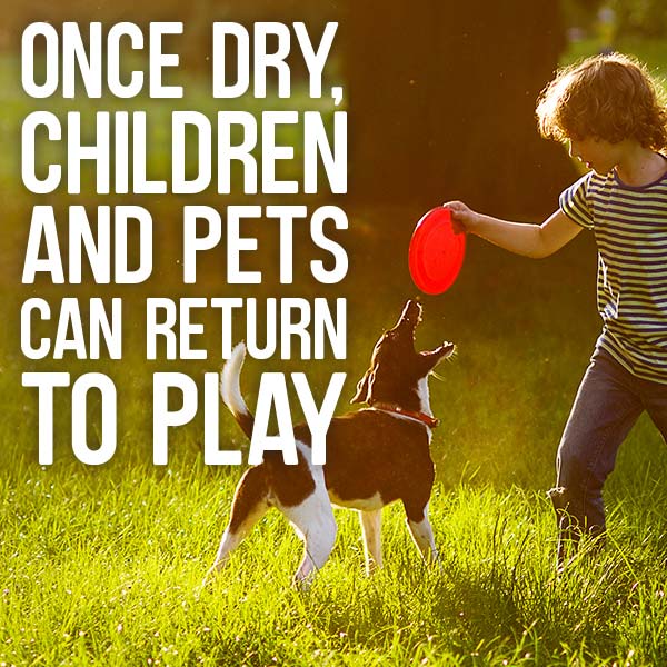 Once dry, children and pets can return to play