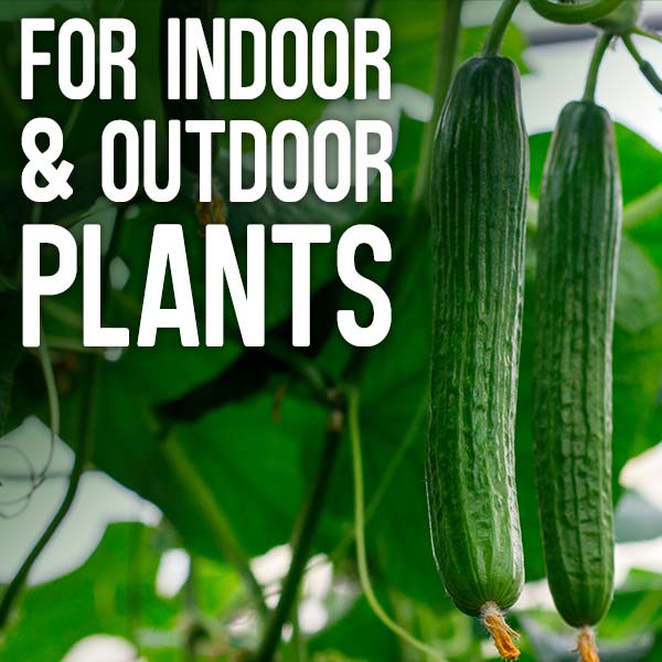 For indoor and outdoor plants