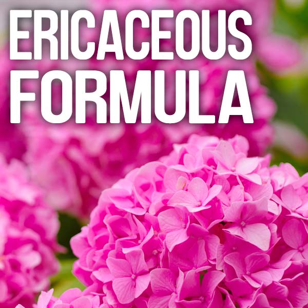 Ericaceous formula