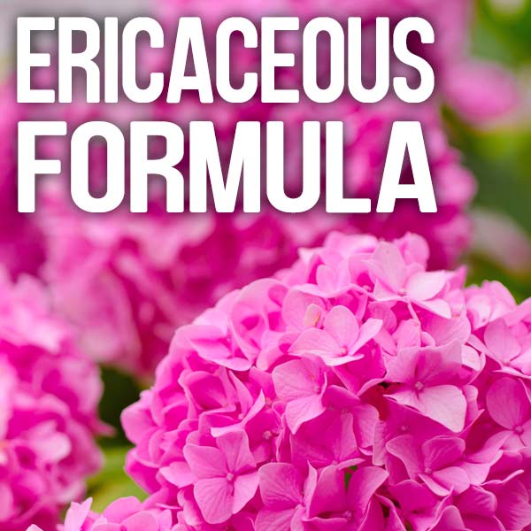 Gardening :: Chemicals & Fertilisers :: Feed :: Miracle-Gro Azalea