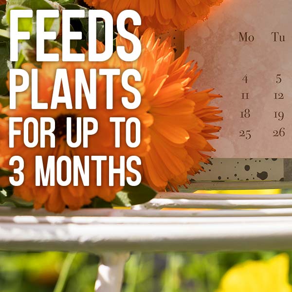 Feeds plants for up to 3 months